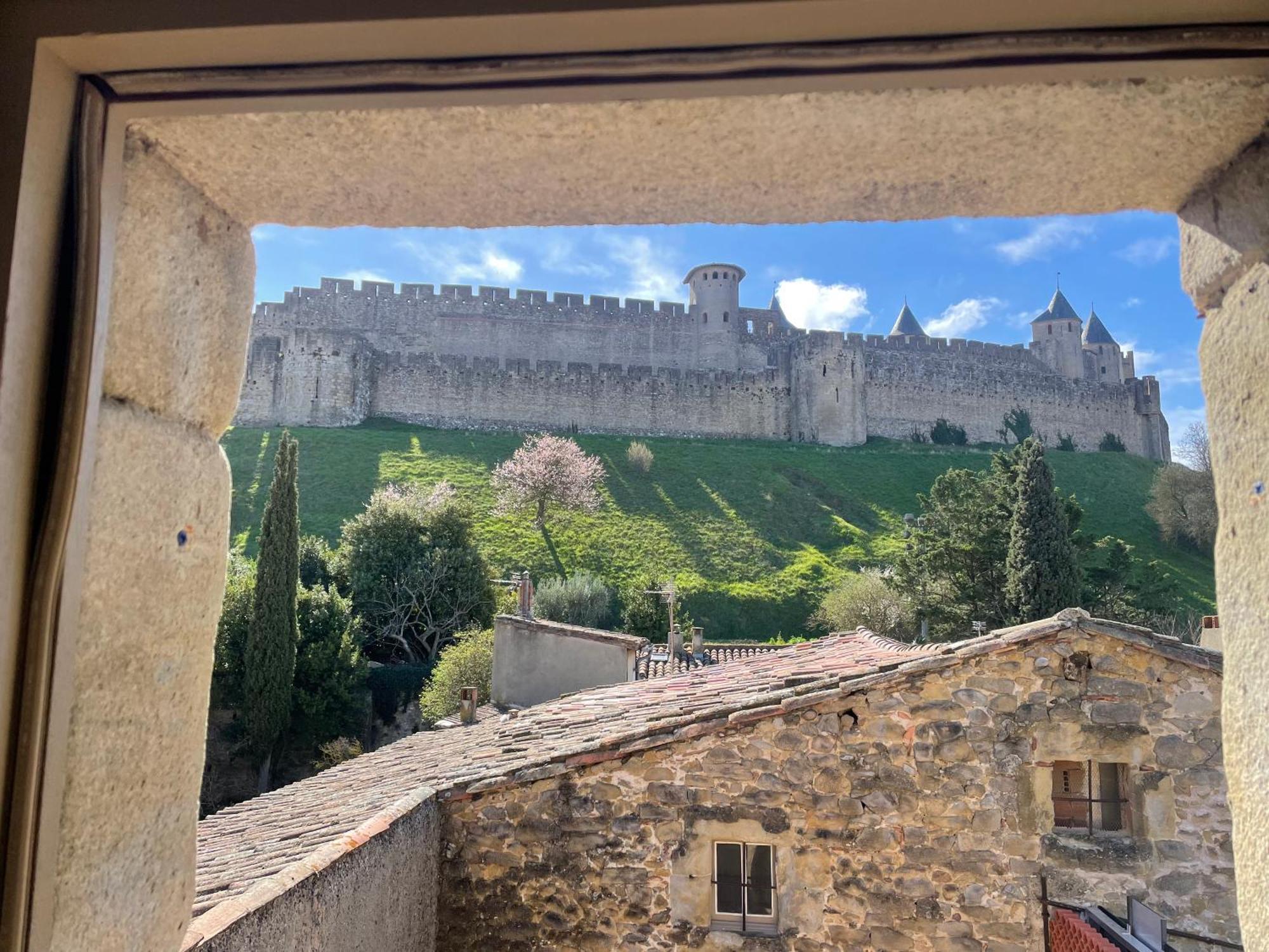 Apartament Pelletier Du Claux Carcassonne Zewnętrze zdjęcie